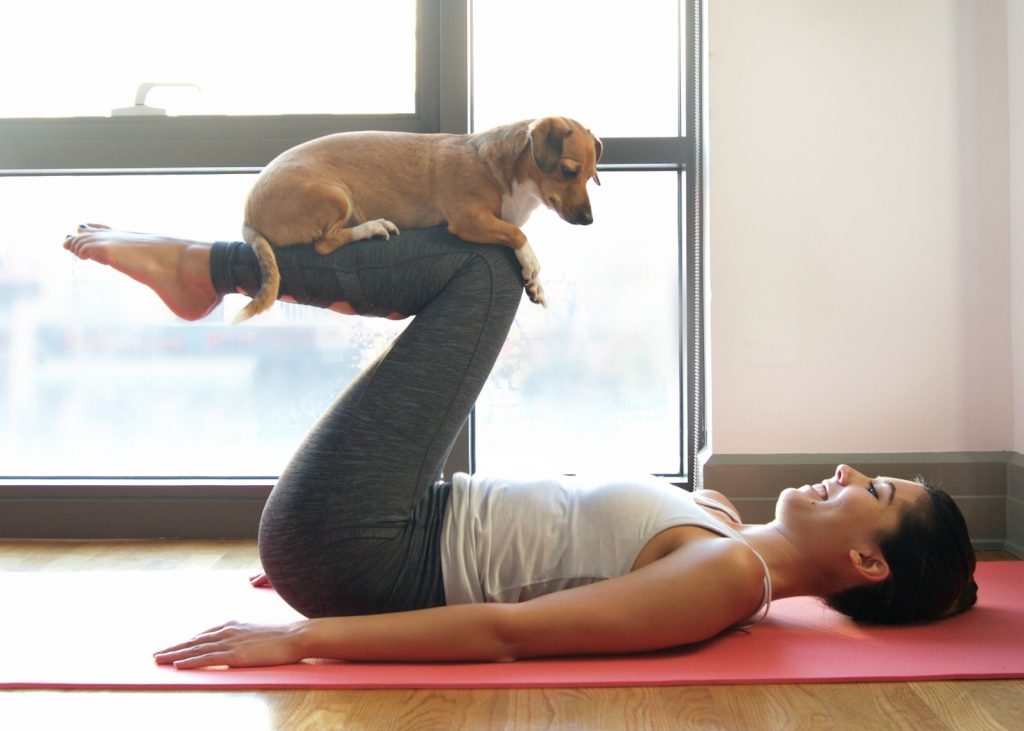 Discover the Benefits of Doga: Yoga with Your Dog