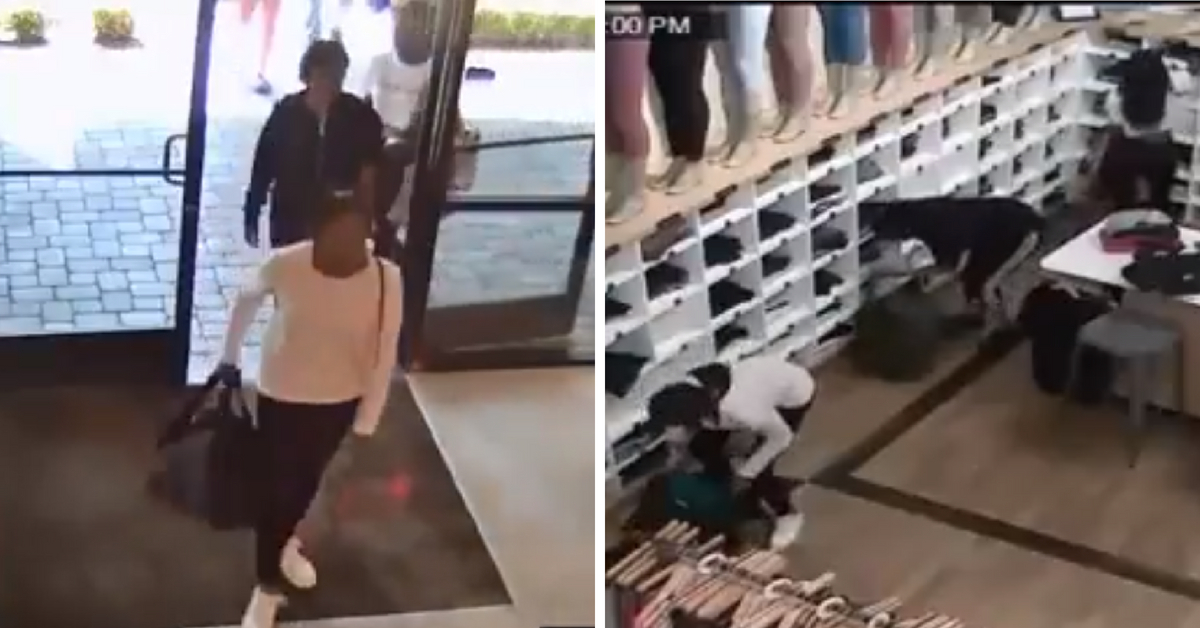 Group of Women Steal Leggings Amounting to $17000 From Lululemon Store (1)
