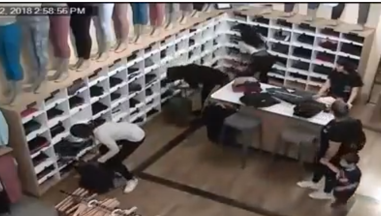 Group of Women Steal Leggings Amounting to $17000 From Lululemon Store