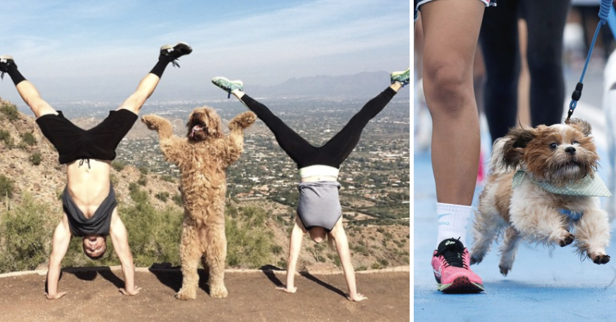 Discover the Benefits of Working out with Your Dog: Your Best Workout Buddy