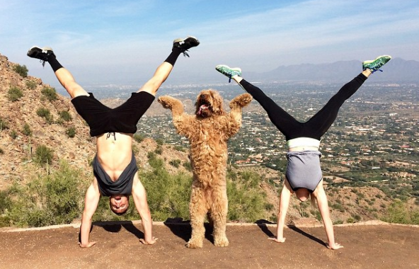 Discover the Benefits of Working out with Your Dog: Your Best Workout Buddy