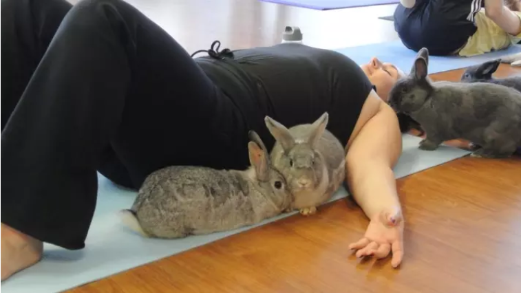 Morning Yoga: Cute Bunnies & All Other Great Benefits That Come With It