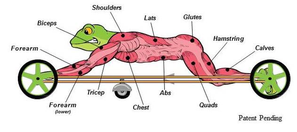 6 Day The frog workout machine for Weight Loss