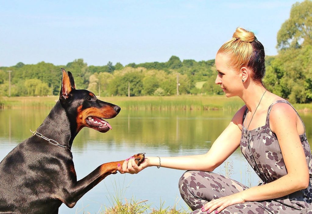 Discover the Benefits of Working out with Your Dog: Your Best Workout Buddy