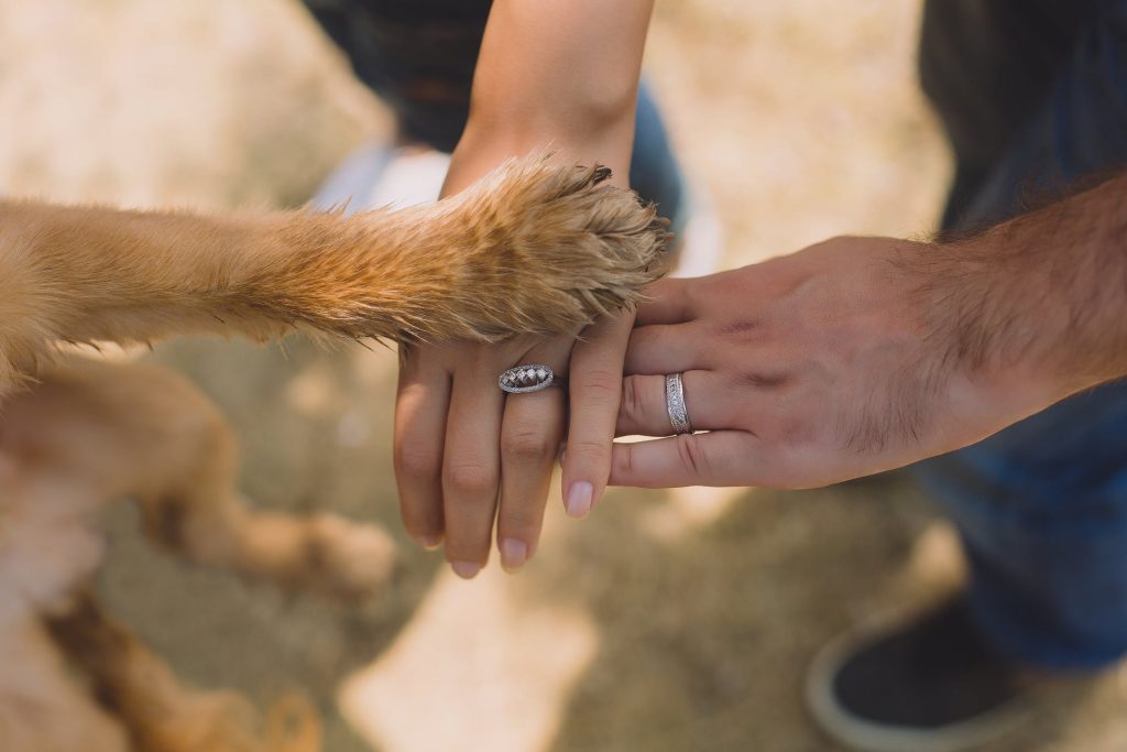 Discover the Benefits of Working out with Your Dog: Your Best Workout Buddy