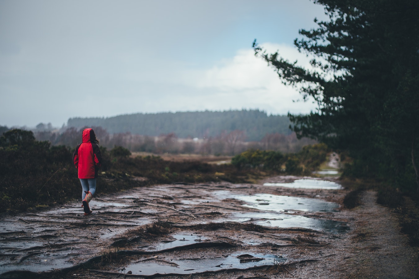 Benefits of Wearing the Perfect Thermal Running Jacket