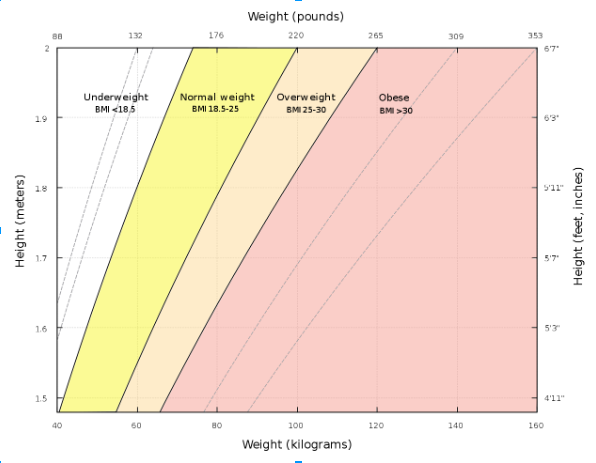 How To Measure Bmi For Adults Children Teens