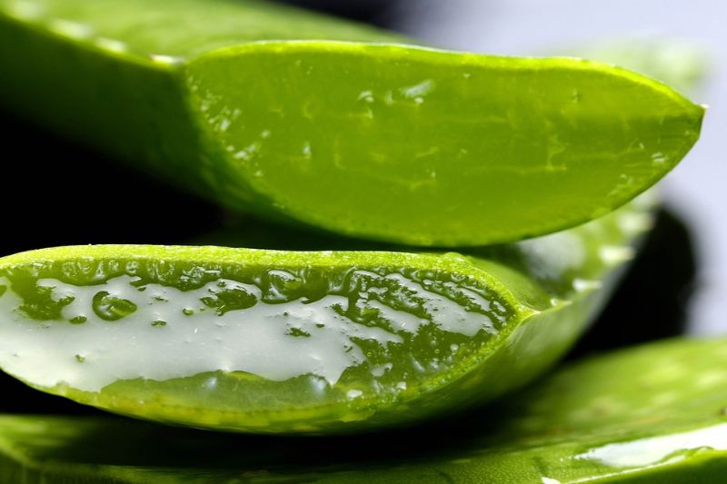 natural-beauty-tips-for-all-skin-type-7-aloe-vera-for-sunburn