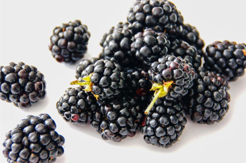 9-surprising-superfoods-9-blackberries