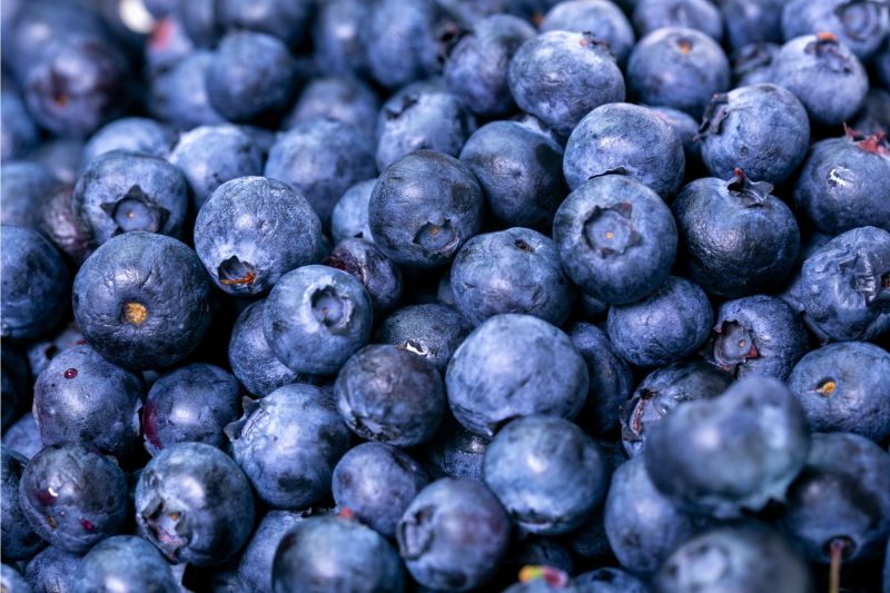 foods-to-combat-the-signs-of-ageing-3-blueberries