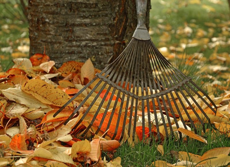 5-ways-sneak-in-a-workout-fall-activities-2-raking-burning