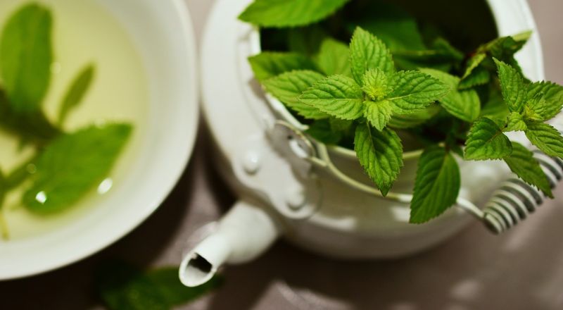 foods-that-kill-the-mood-for-sensuality-7-peppermint